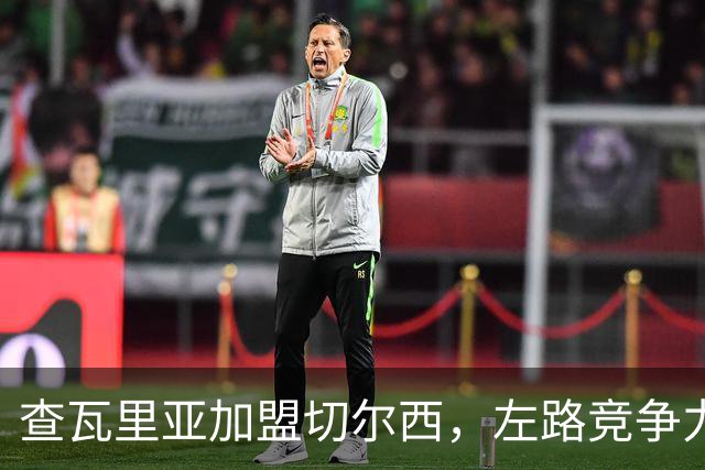 查瓦里亚加盟切尔西，左路竞争力提升