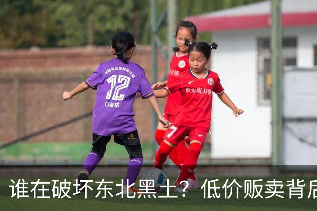 谁在破坏东北黑土？低价贩卖背后的隐患